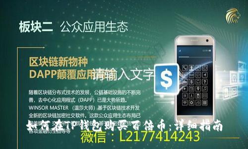如何在TP钱包购买百倍币：详细指南
