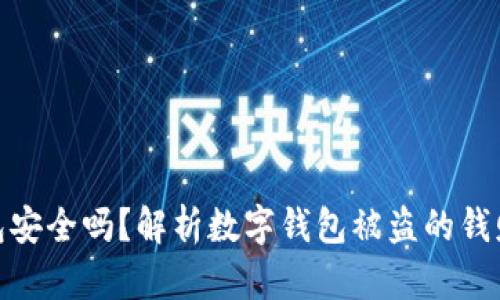 tP钱包安全吗？解析数字钱包被盗的钱财风险
