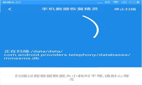  解析：国外向TP钱包转币的可行性与操作指南