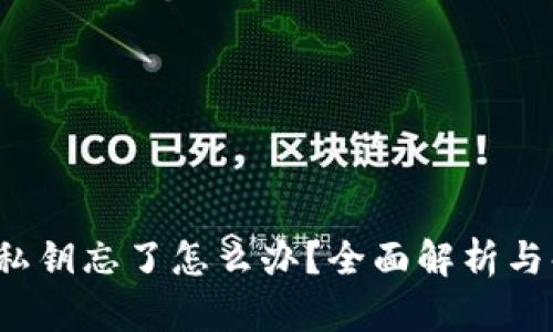 t p钱包私钥忘了怎么办？全面解析与解决方案