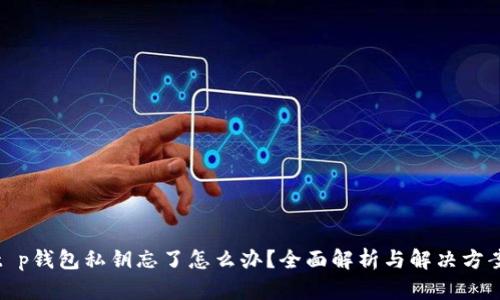 t p钱包私钥忘了怎么办？全面解析与解决方案
