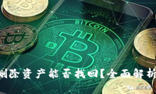 TP钱包App删除资产能否找回？全面解析与解决方案