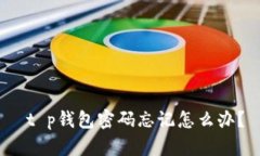  t p钱包密码忘记怎么办？