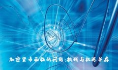 加密货币面临的问题：挑