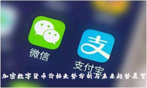 加密数字货币价格走势分析与未来趋势展望