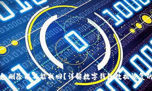 TP钱包删除能不能找回？详解数字钱包数据恢复的方法