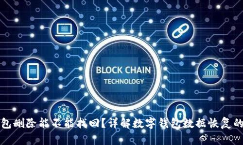 TP钱包删除能不能找回？详解数字钱包数据恢复的方法