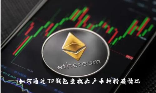 :如何通过TP钱包查找大户币种持有情况