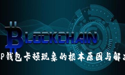 探究TP钱包卡顿现象的根本原因与解决方案