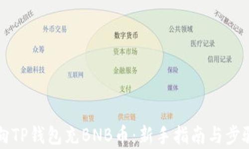 
如何向TP钱包充BNB币：新手指南与步骤解析