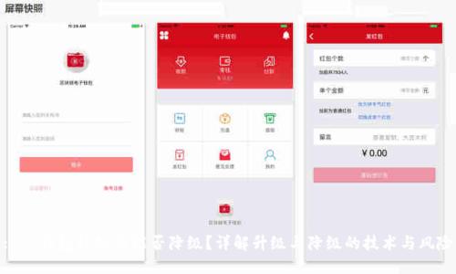 : TP钱包升级后能否降级？详解升级与降级的技术与风险