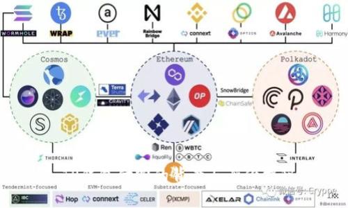  TP钱包付盼的背景与身份揭秘