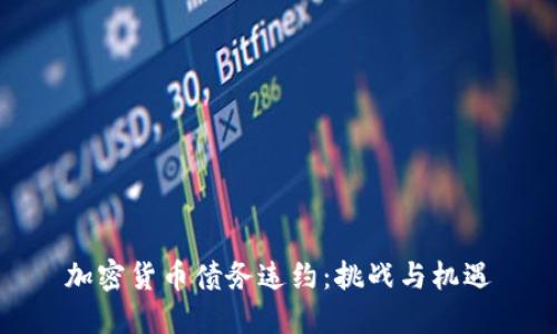 加密货币债务违约：挑战与机遇