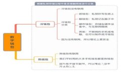 运动品牌加密货币的崛起