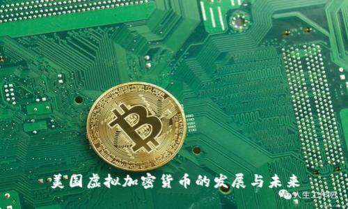 美国虚拟加密货币的发展与未来