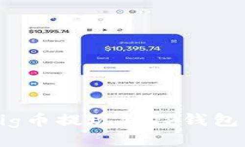  如何将Pig币提现到TP钱包：全面指南