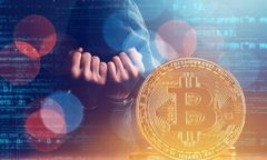 TP钱包价格变化及其影响因素分析