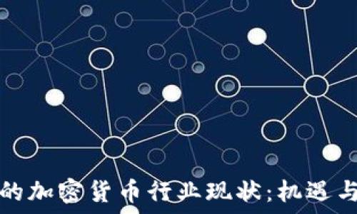   
印度的加密货币行业现状：机遇与挑战