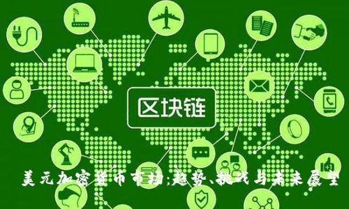  美元加密货币市场：趋势、挑战与未来展望