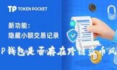 : tP钱包是否存在跨链盗币