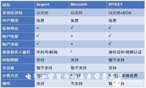 电子加密货币的未来前景展望