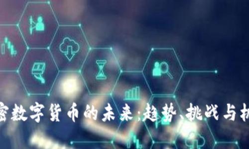 加密数字货币的未来：趋势、挑战与机遇