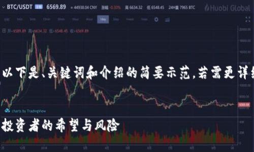 由于内容较长，以下是、关键词和介绍的简要示范。若需更详细内容，请告知。


加密货币疯涨：投资者的希望与风险