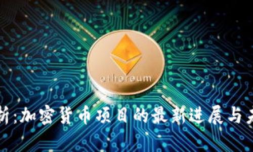 深入分析：加密货币项目的最新进展与未来发展