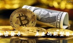 加密货币——未来的新型货币