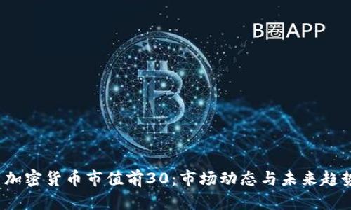  加密货币市值前30：市场动态与未来趋势