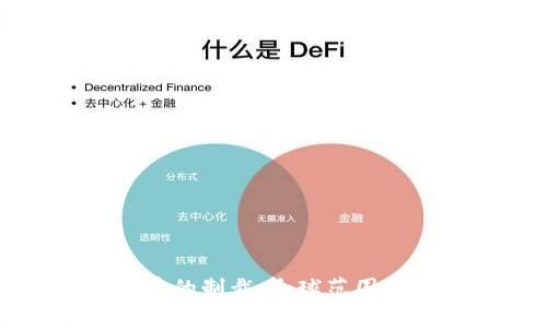 国家对加密货币的制裁：全球范围内的挑战与应对