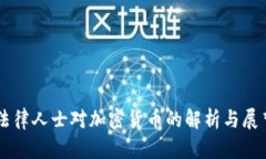 法律人士对加密货币的解