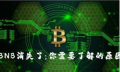 TP钱包里的BNB消失了：你需