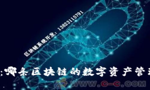 TP钱包：哪条区块链的数字资产管理工具？