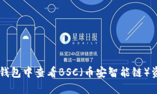 如何在TP钱包中查看BSC（币安智能链）资产和交易