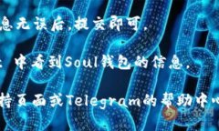 要在TP（Telegram Passport）中添加Soul钱包，您可以按