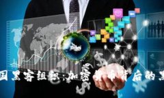 揭秘美国黑客组织：加密