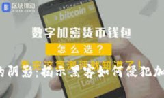破解数字财富的阴影：揭示黑客如何侵犯加密货