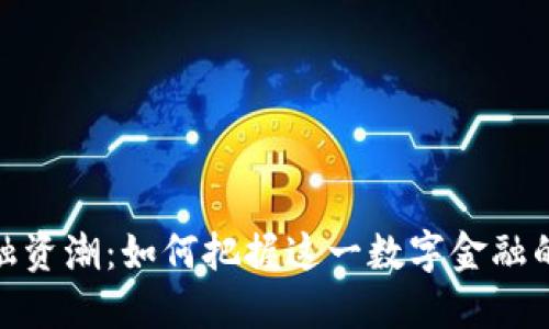 加密货币融资潮：如何把握这一数字金融的黄金机遇