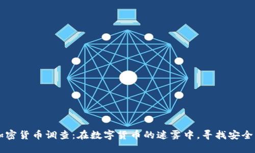 印度加密货币调查：在数字货币的迷雾中，寻找安全的港湾