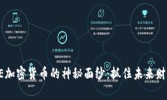 揭开SUPE加密货币的神秘面