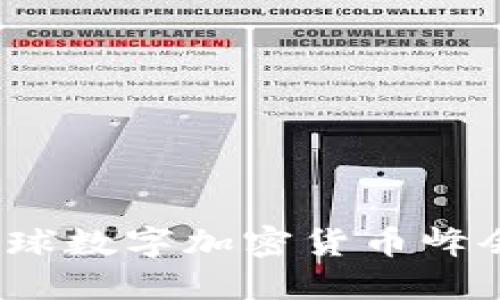 共享未来：全球数字加密货币峰会的时代重塑