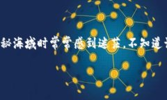 在这个充满挑战与机遇的