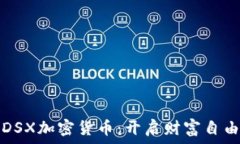  掌握DSX加密货币：开启财