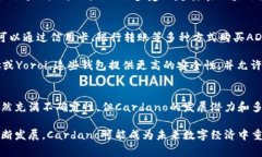 Cardano（科达诺）是一种基