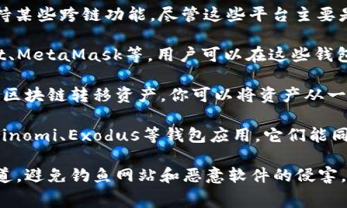 在进行t p钱包跨链交易时，通常需要依赖一些专业的软件或工具来确保交易的安全和高效性。以下是一些可能有用的软件和工具，供你参考：

1. **跨链交易平台**：有一些专门的跨链交换平台，如Thorchain、Polkadex等，支持不同区块链之间的资产交换。这些平台的操作相对简单，用户只需链接自己的t p钱包即可进行交易。

2. **去中心化交易所（DEX）**：去中心化交易所如Uniswap、SushiSwap也支持某些跨链功能。尽管这些平台主要是围绕以太坊生态系统构建的，但通过一些桥接协议也能实现跨链交易。

3. **钱包应用**：有一些多链钱包提供了跨链交易的功能，比如Trust Wallet、MetaMask等。用户可以在这些钱包中直接进行代币交换，前提是所需的链和资产都在支持的列表中。

4. **桥接协议**：比如Wormhole、AnySwap等，这些协议允许用户通过不同的区块链转移资产。你可以将资产从一个链上转移到另一个链上，并在目标链上进行交易。

5. **资产管理工具**：如果你需要同时管理多种数字资产，可以考虑使用如Coinomi、Exodus等钱包应用，它们能同时支持多种区块链资产，并且方便进行跨链操作。

使用这些工具时，请务必注意安全性，确保你使用的是官方版本的软件下载渠道，避免钓鱼网站和恶意软件的侵害。同时，跨链交易的过程可能涉及较高的手续费，建议提前了解并计算相关成本。