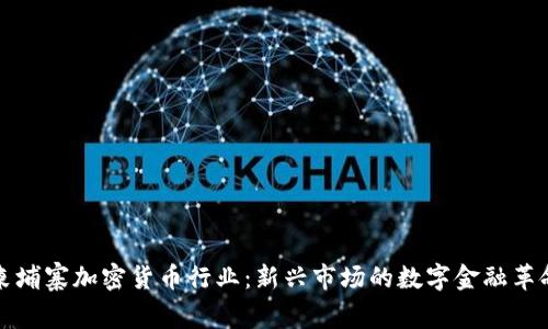 柬埔寨加密货币行业：新兴市场的数字金融革命