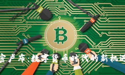 探索加密卢布：数字货币时代的新机遇与挑战