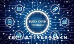 掌握BTCV：数字货币投资的