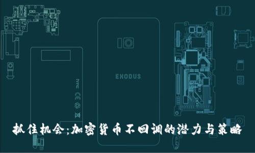 抓住机会：加密货币不回调的潜力与策略